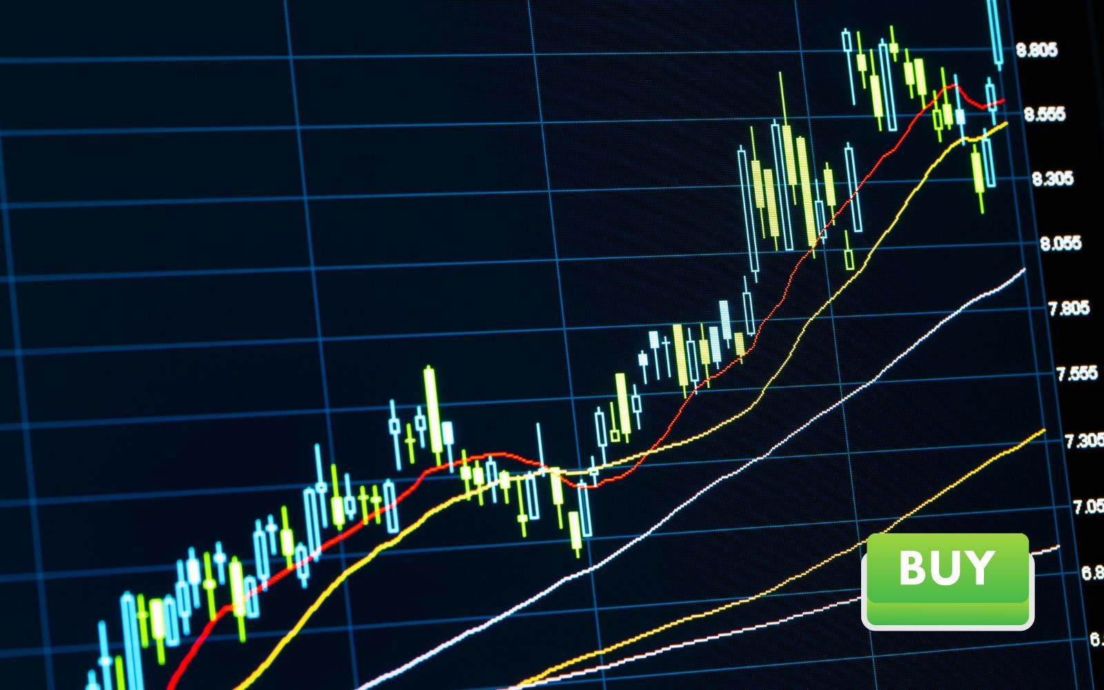 Banken ser fortsatt potential för skogsjätten – ger köpråd