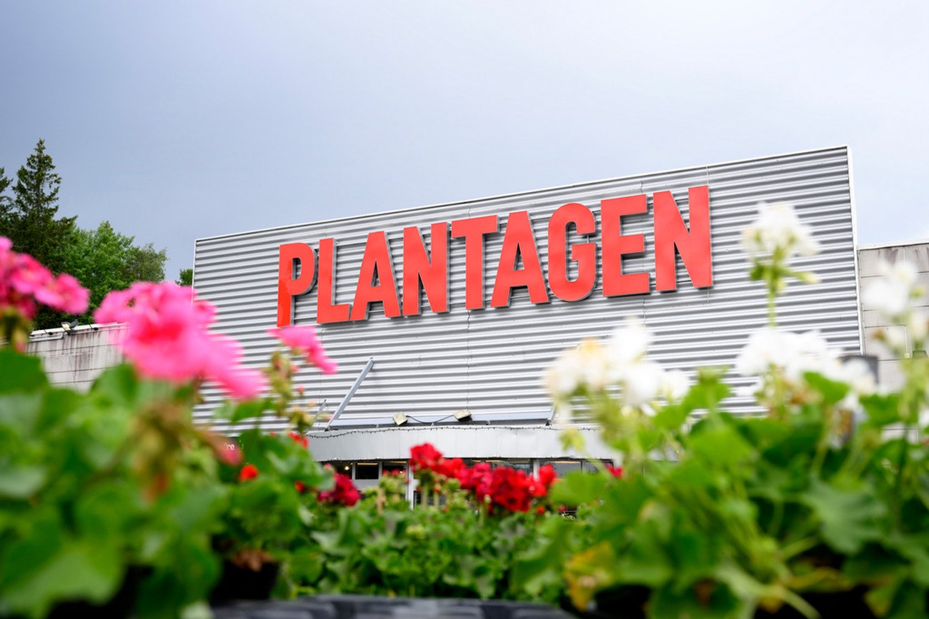Vinstlyft för Plantagen-ägaren