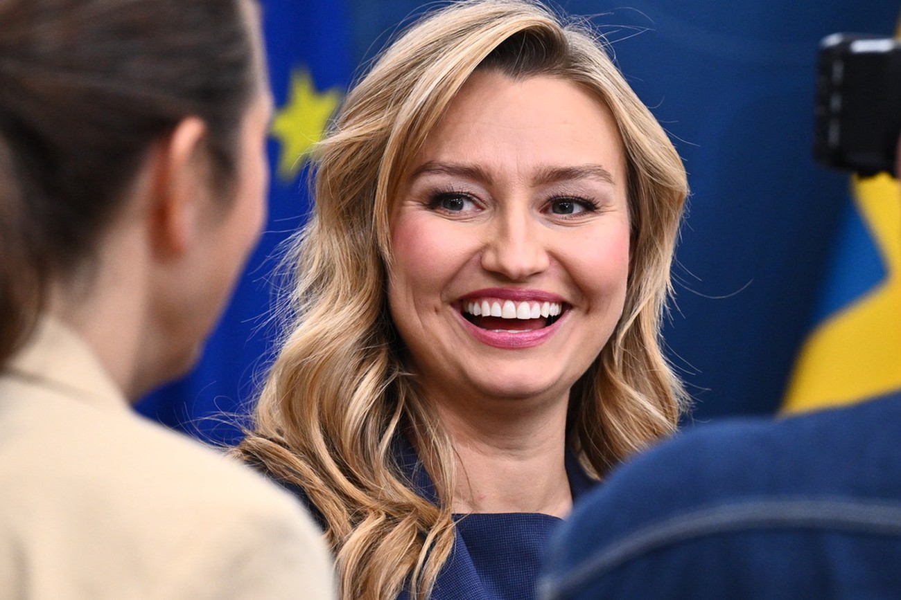 Regeringen vill bara ha ett elområde