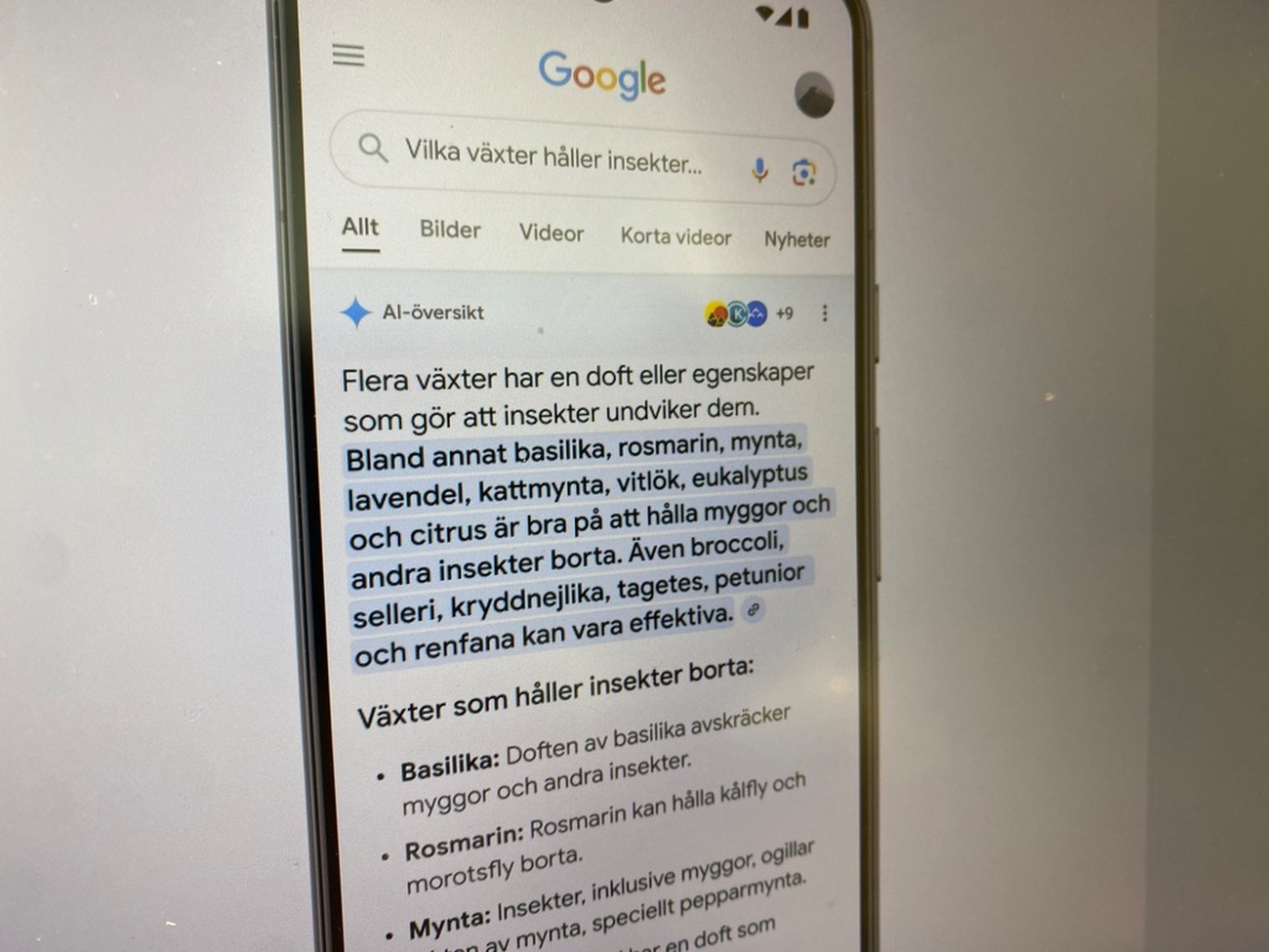 Google kopplar på AI på sin sökmotor