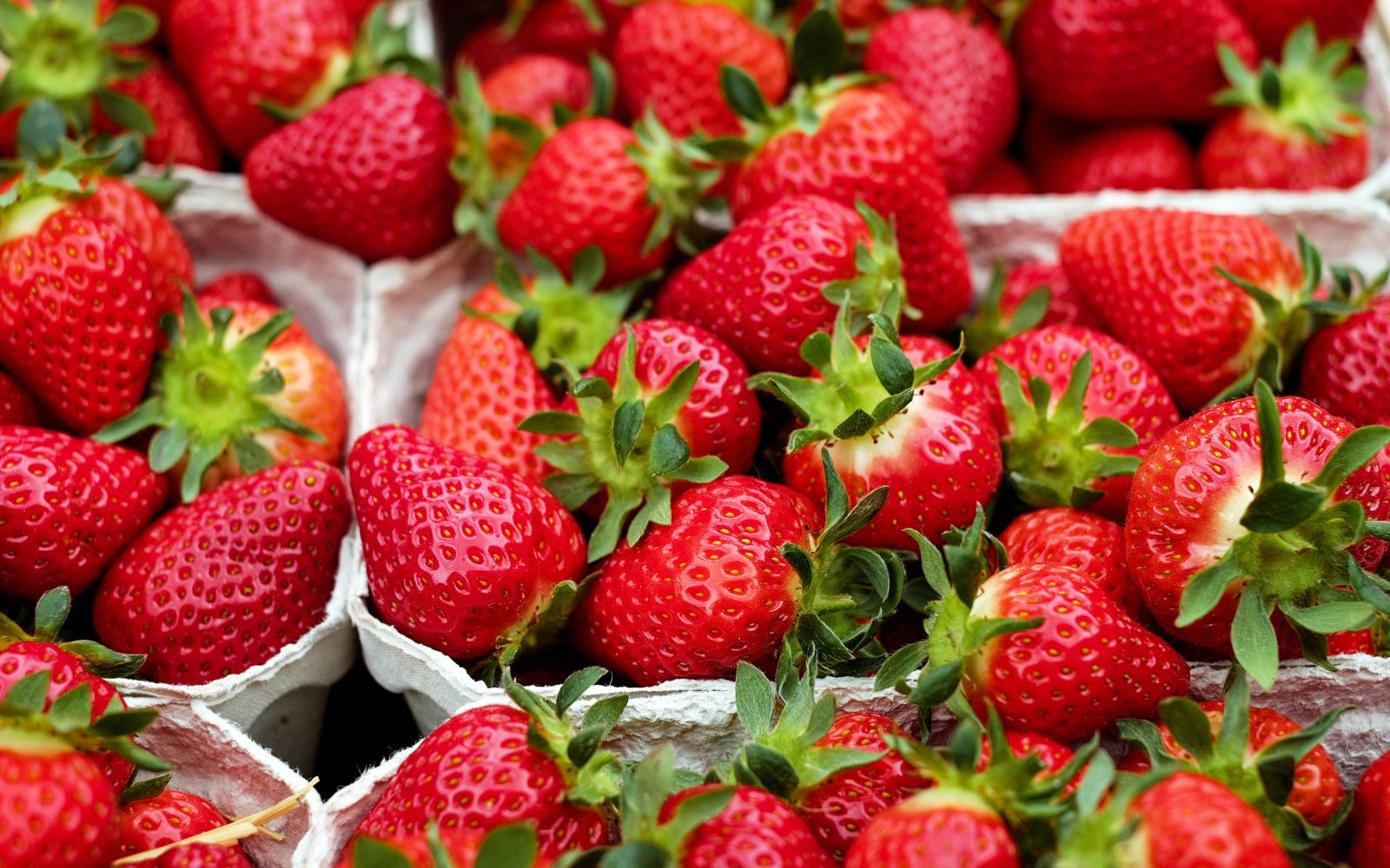 Lagom till midsommar – glädjebesked till alla jordgubbsälskare
