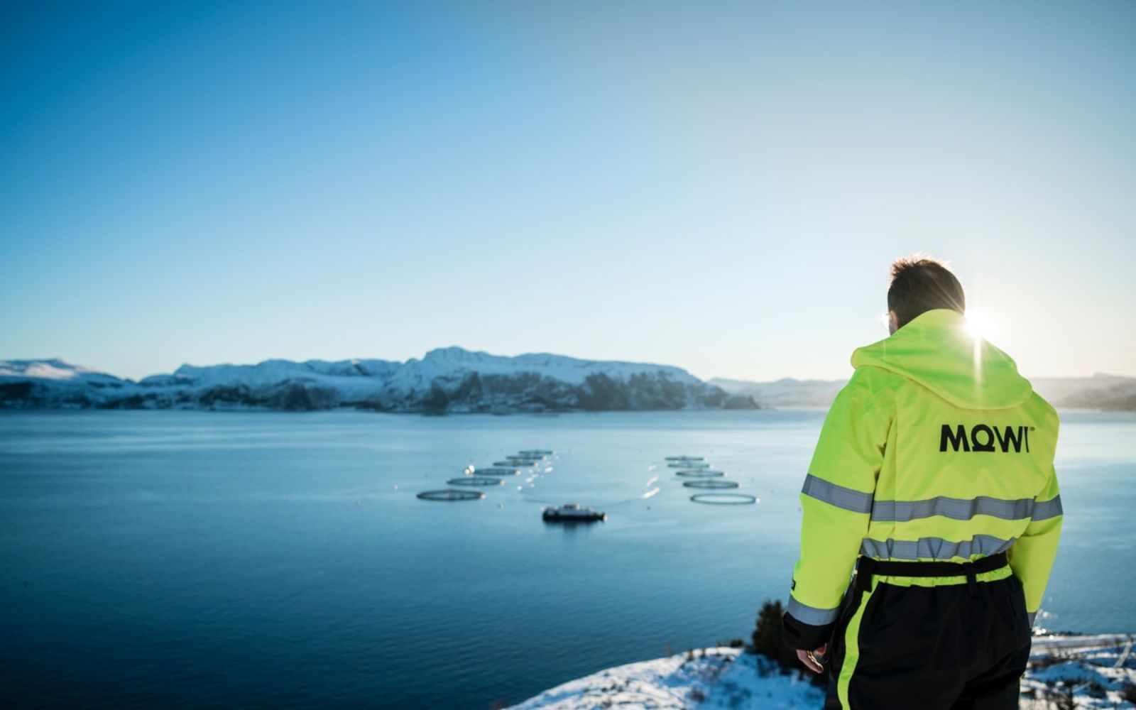 Därför stiger laxaktierna på Oslobörsen