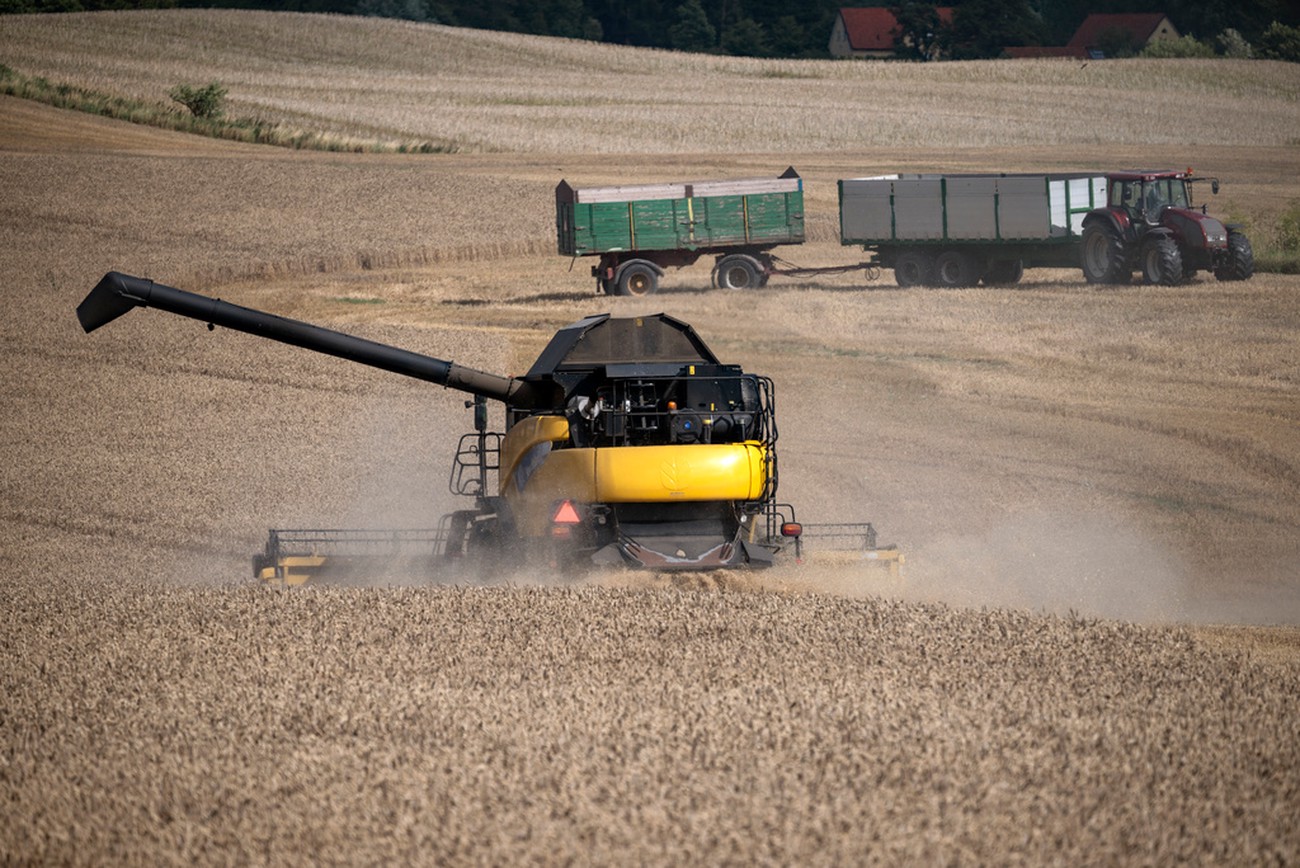 Lägre producentpriser – trots dyrare import