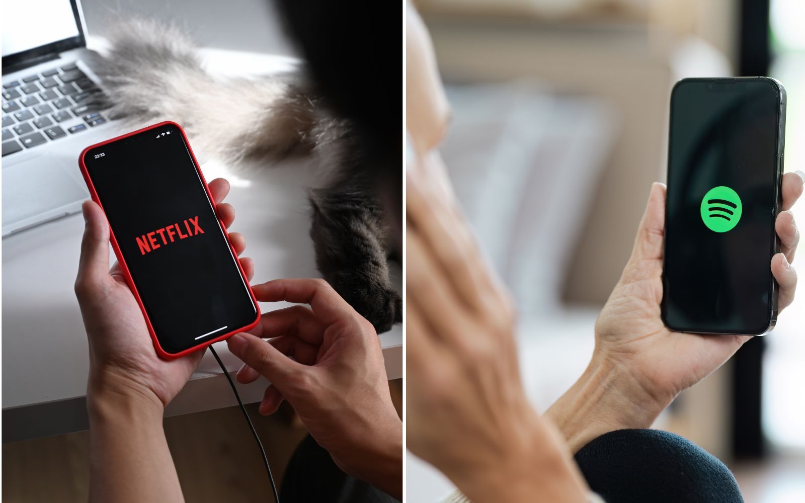 Netflix och Spotify i samtal – letar gemensamma projekt