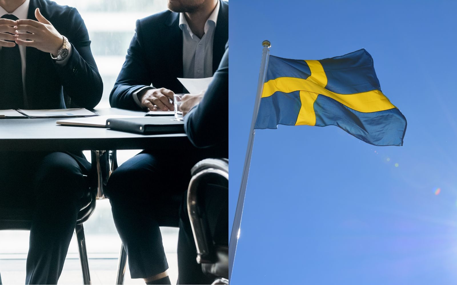Nystartade techfonden Project Europe investerar i svenska Zellify - stöds av framstående tech-entreprenörer