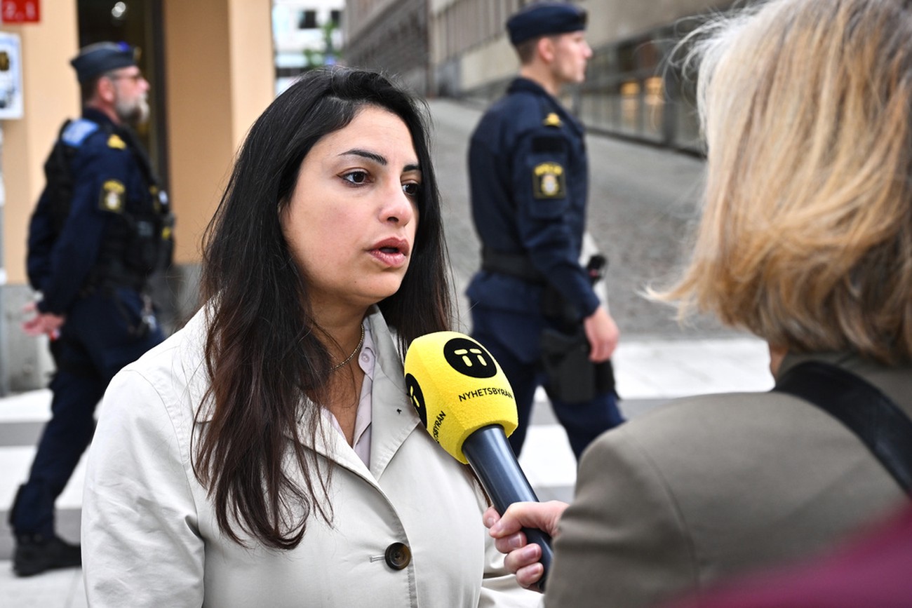 V vill stärka högkostnadsskyddet på el