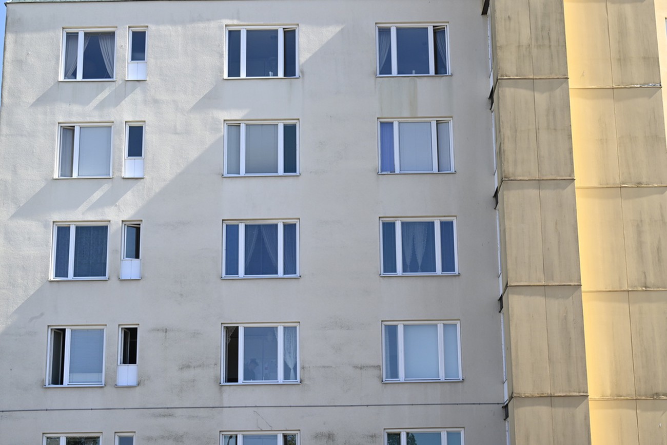 Hyreshushåll betalar störst andel för boendet