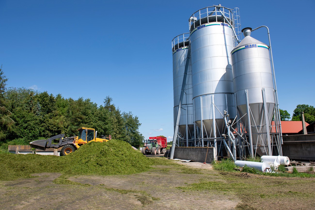 Svag framtidstro hos skogsbruk och lantbruk