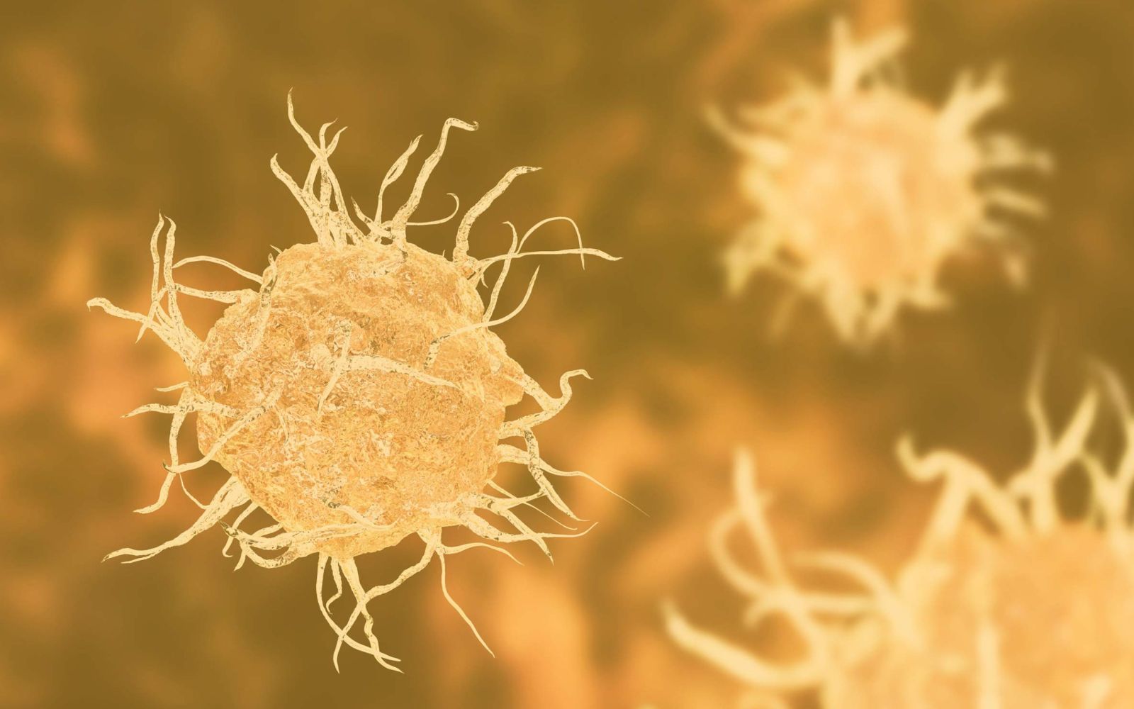 Emission: Kliniskt momentum för Active Biotech