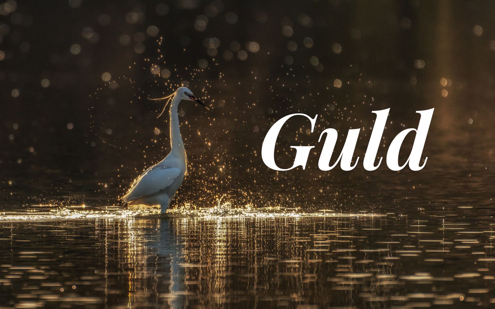 Börja investera i guld 2025 – Jämförelse över olika metoder och dess för- och nackdelar