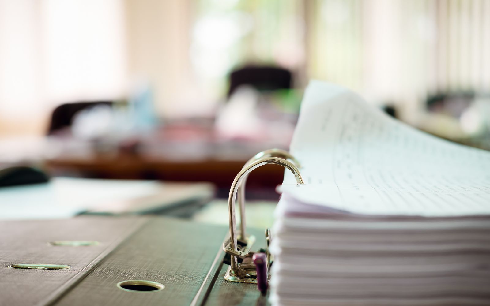 Intellegos vd anhållen – misstankar stärks