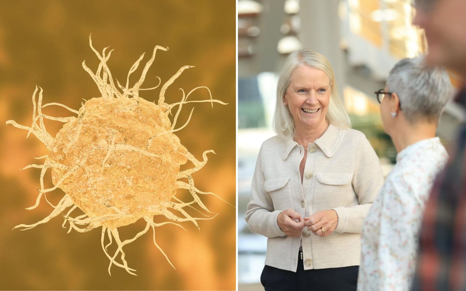 Starkt kliniskt läge – därför ökar intresset för Active Biotech