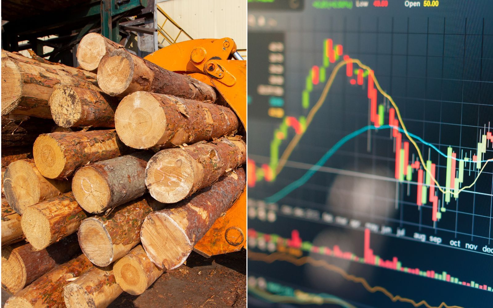 Storbankens val i europeiska skogssektorn – en svensk aktie lyfts