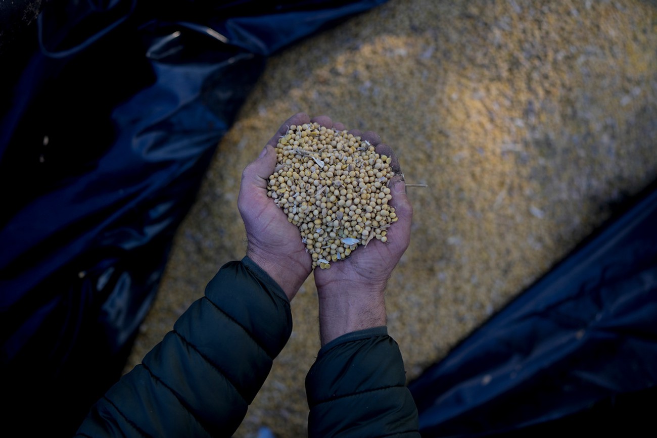 Stora livsmedelsbolag öppnar för soja – från avskogade områden i Amazonas