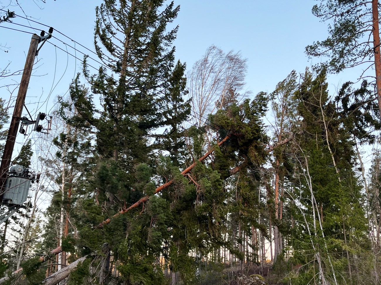 Tusentals strömlösa får kompensation – så påverkas din plånbok efter ovädret