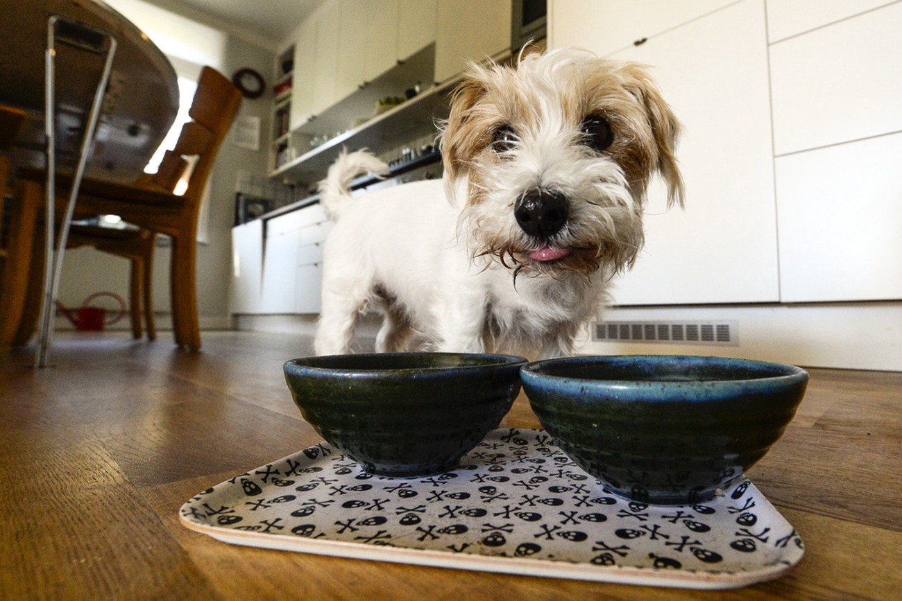 Swedencare faller kraftigt efter oväntad vinstvarning