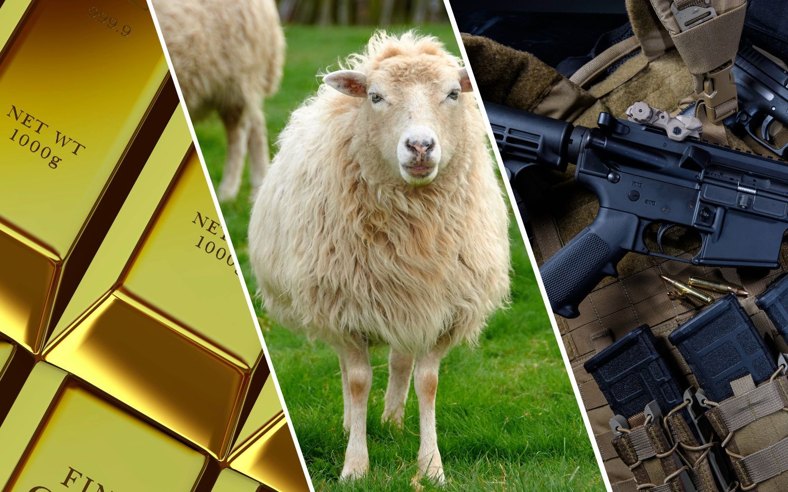 Ovväntade vinnarna på börsen – därför rusade guld, vapen och ull