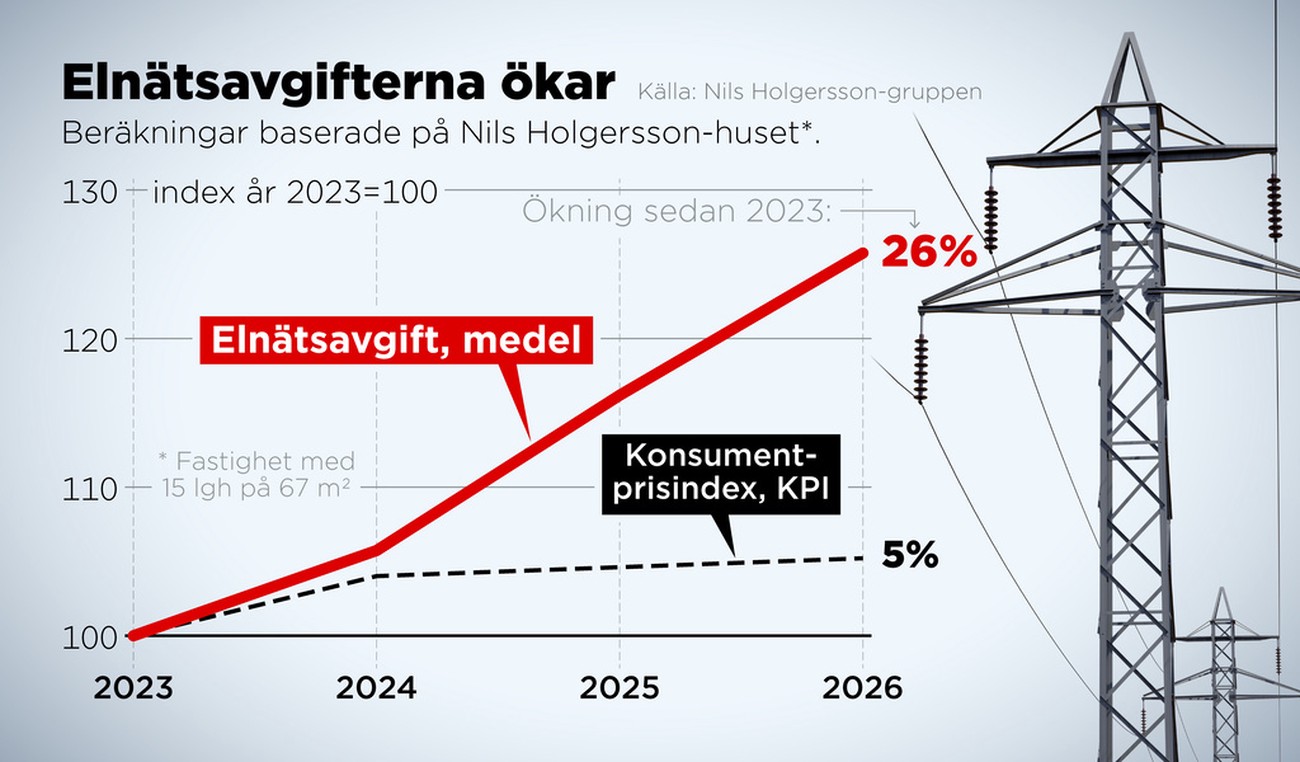 Monopolmarknad: Elnätsavgiften mer än dubbelt så dyr för vissa – ”Reglering som inte fungerar”