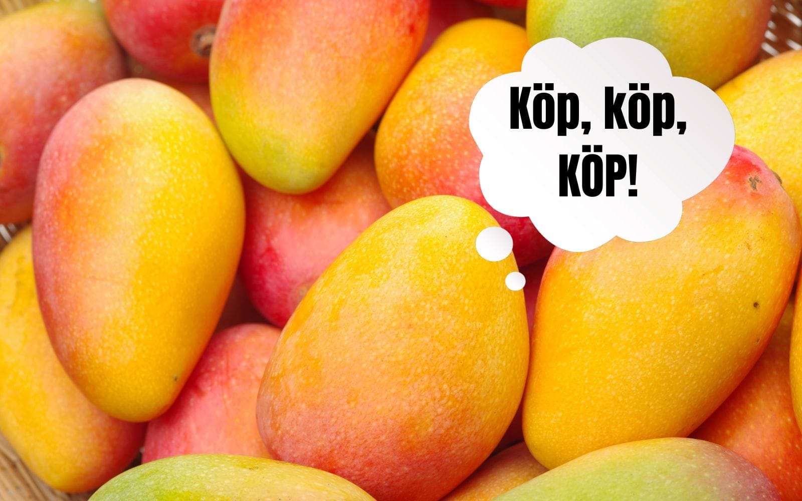 MANGOS ersätter Magnificent Seven – nu köar fondbolagen för att sälja in nästa stora investeringsprodukt