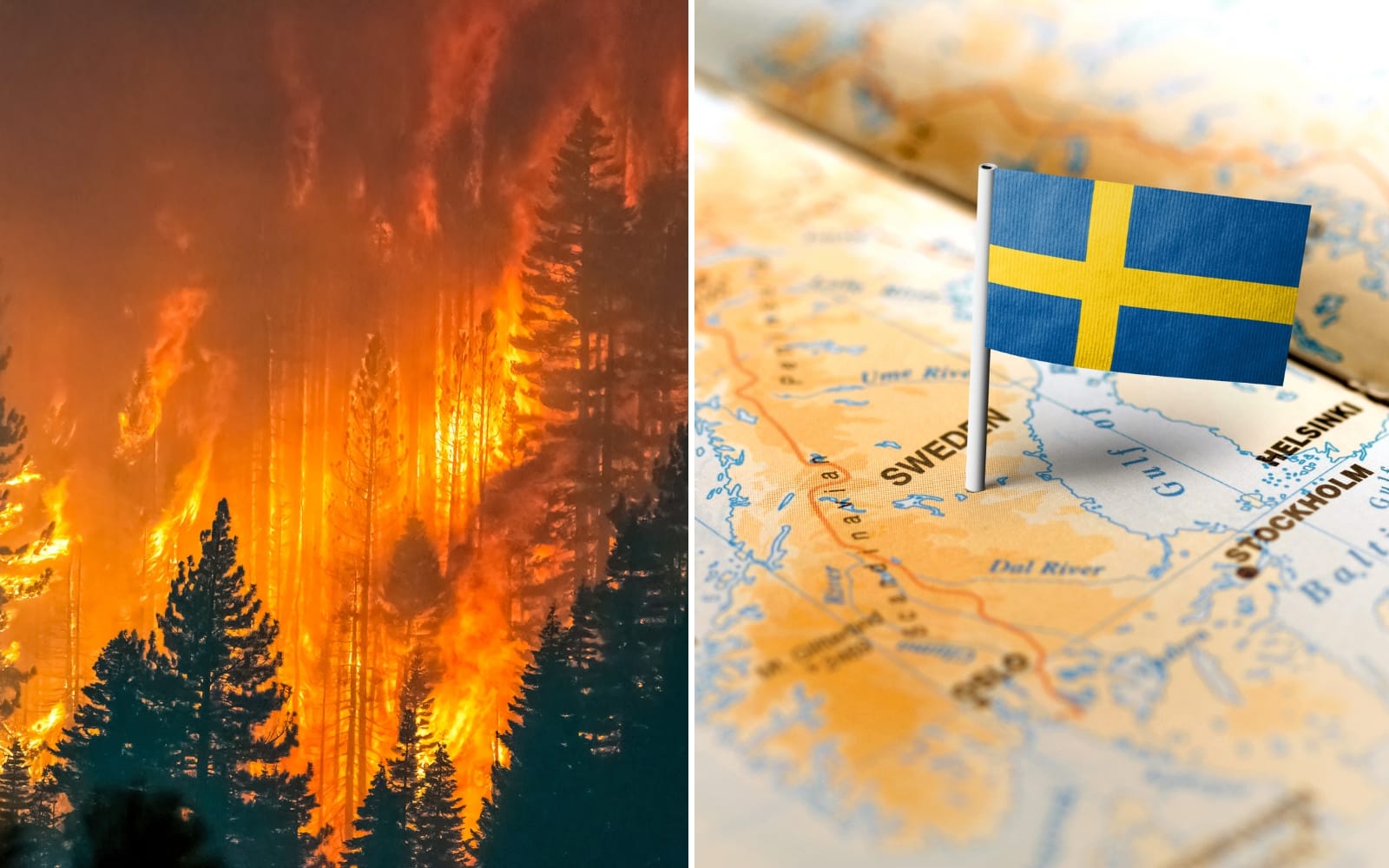 Skogsbränder och värmeböljor förändrar semesterresandet i Europa – Norden kan bli vinnare