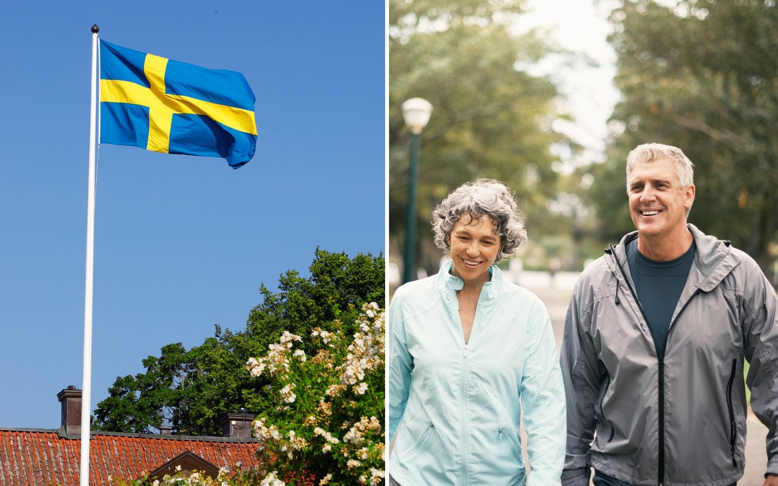 Sverige rankas som världens bästa land att leva i – toppar global lista
