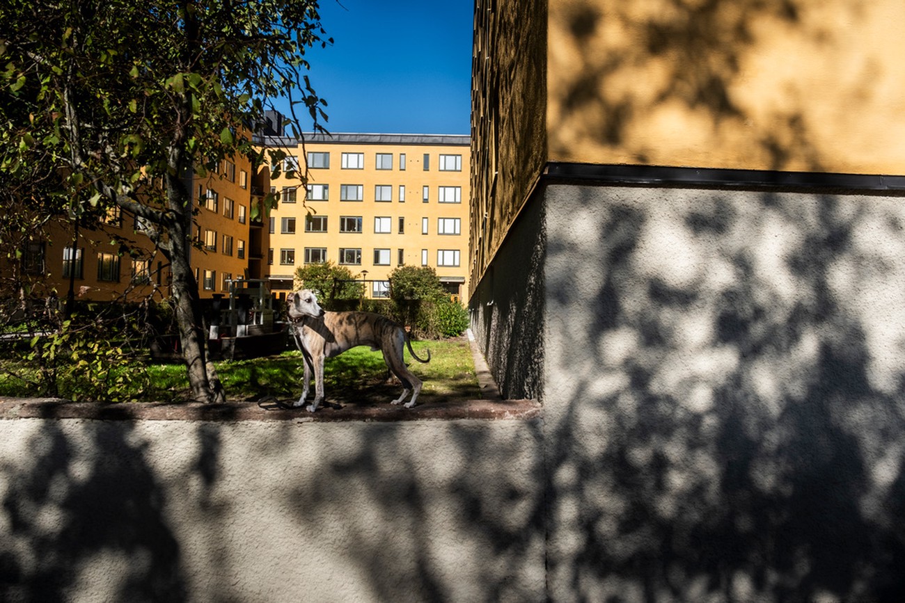 Så mycket skiljer sig bolåneräntorna mellan bankerna – se vilka som är billigast