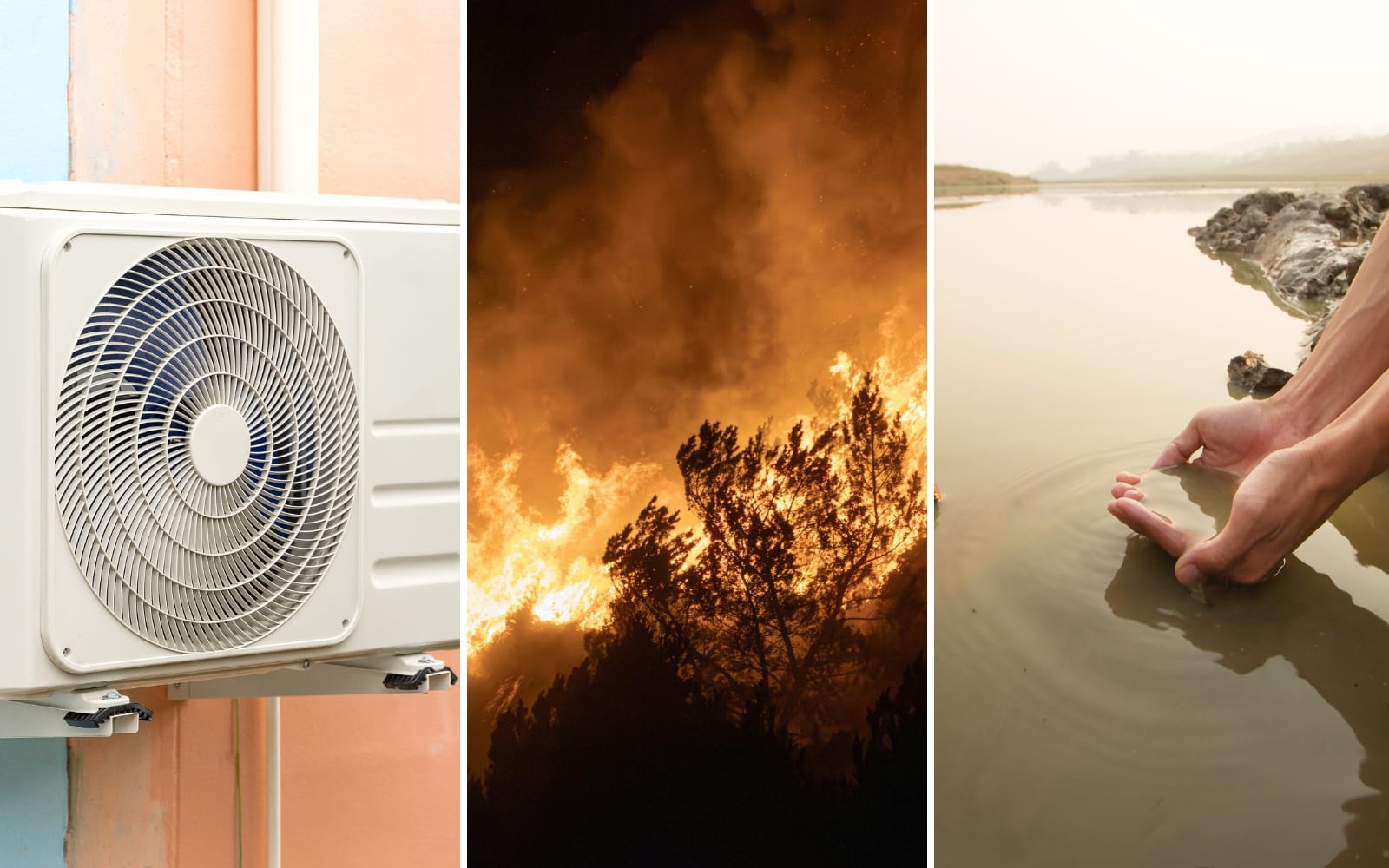 När extremvädret blir en marknad – bolagen som möter klimatkrisens nya behov