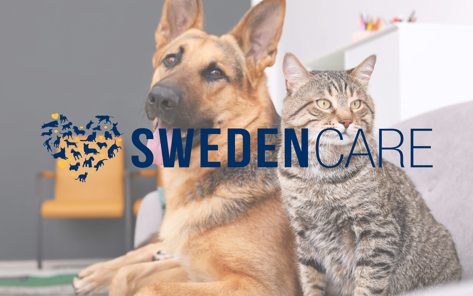 Avgående vd säljer inte en aktie - "vi är undervärderade"