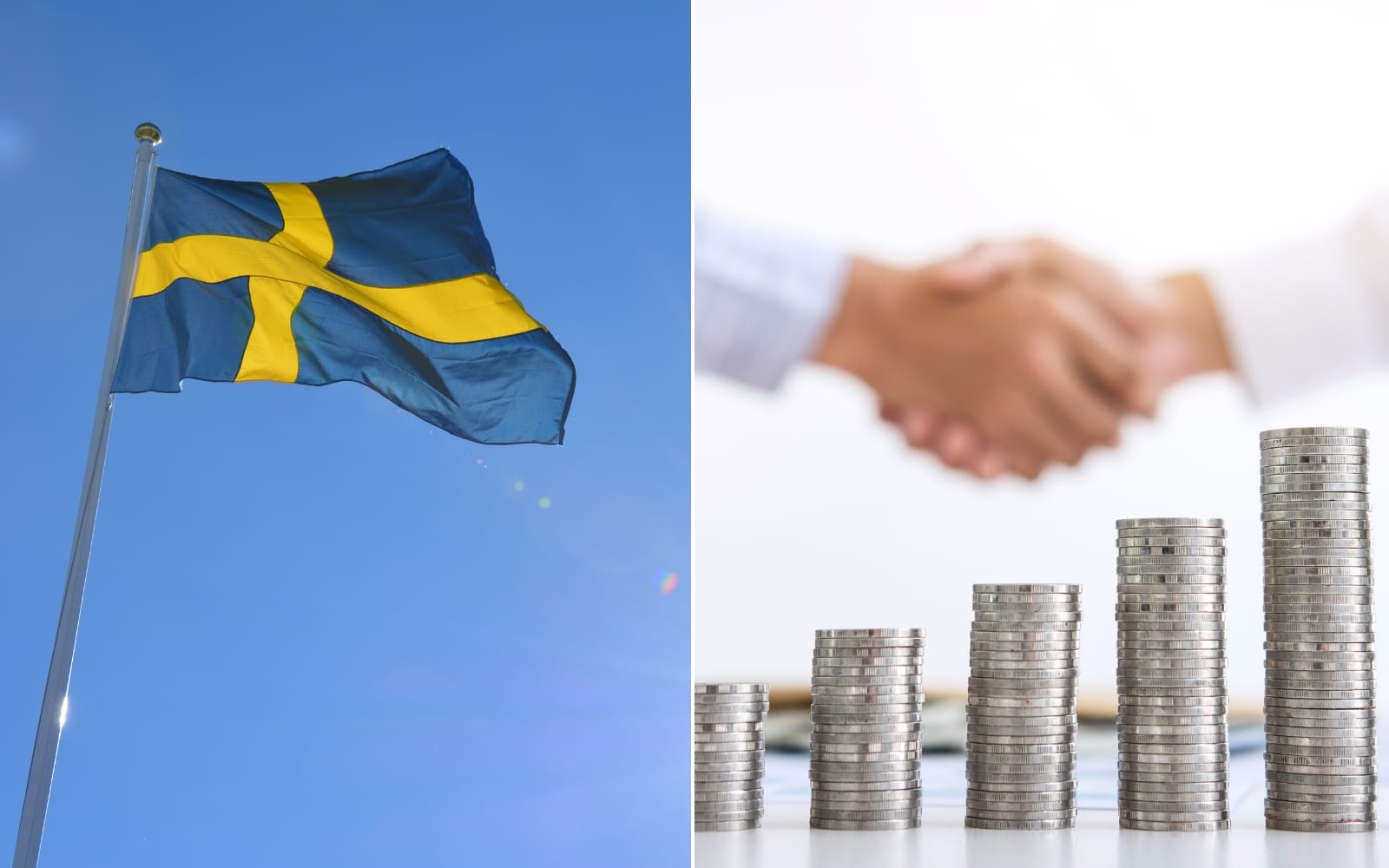 Sverigefonden bäst för andra året i rad – här är vinnarna och förlorarna