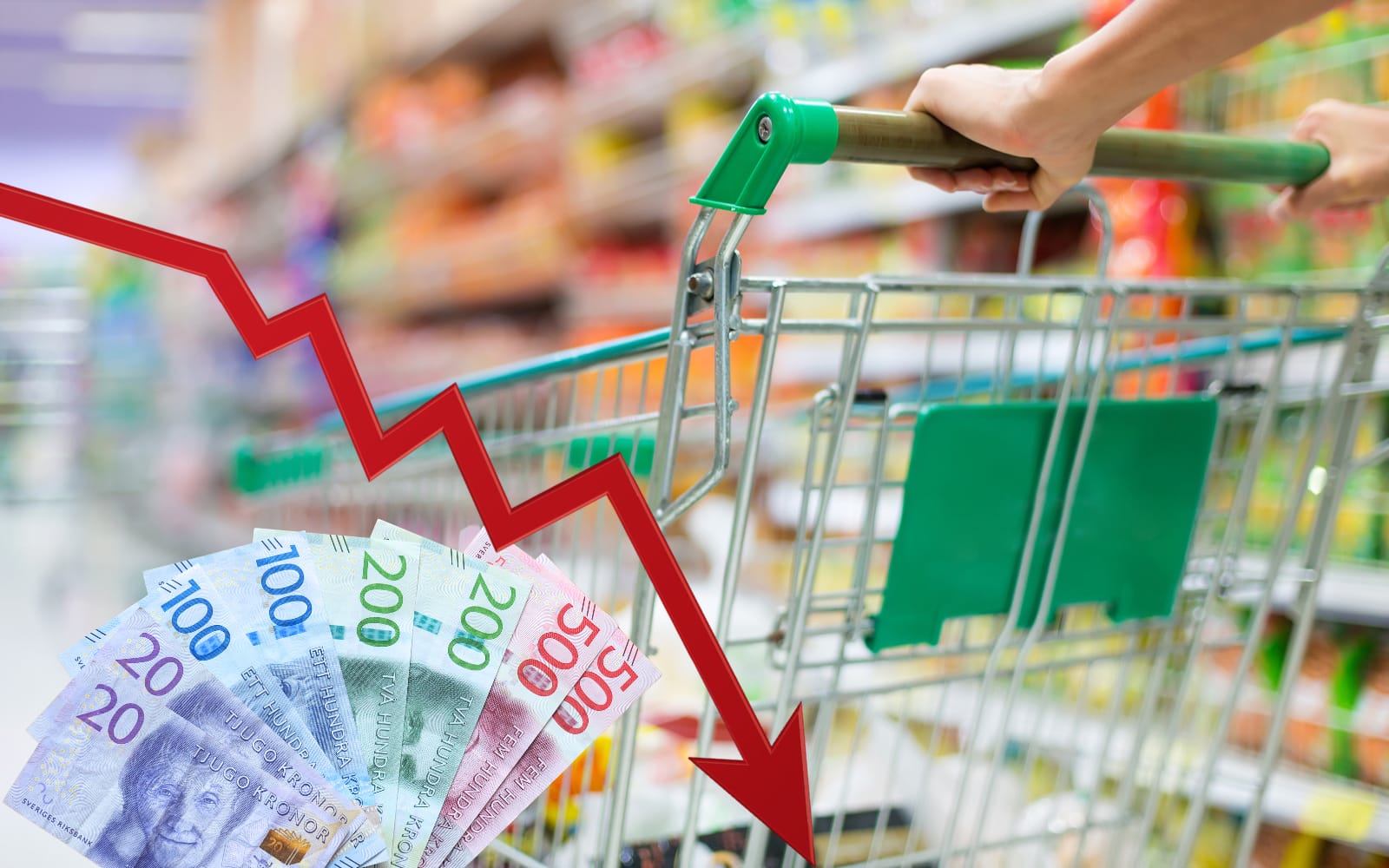 FAO: Matpriserna i Sverige beräknas ha fallit mest i Europa det senaste året